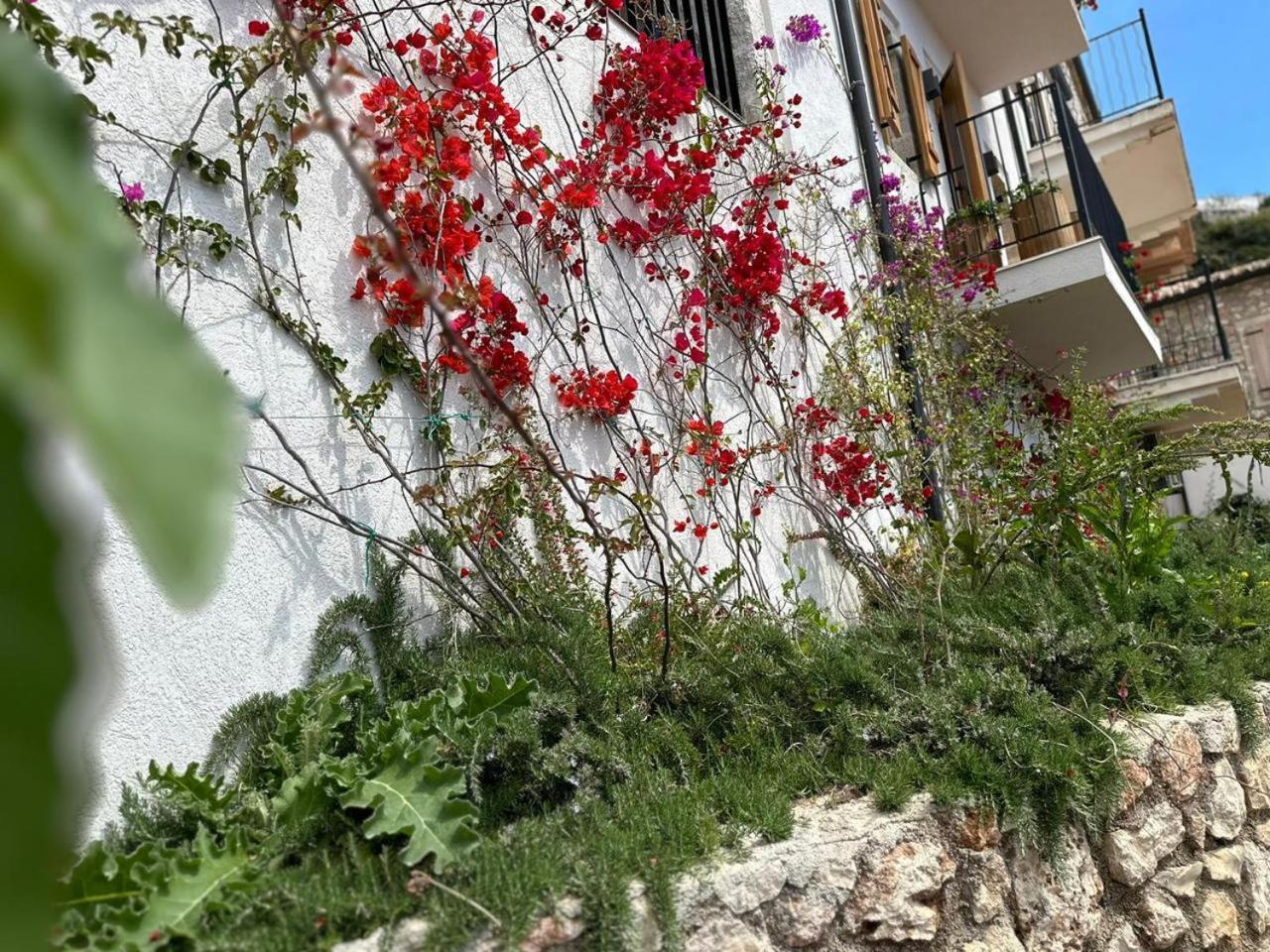 Lion'S Villa Vlorë Exteriör bild